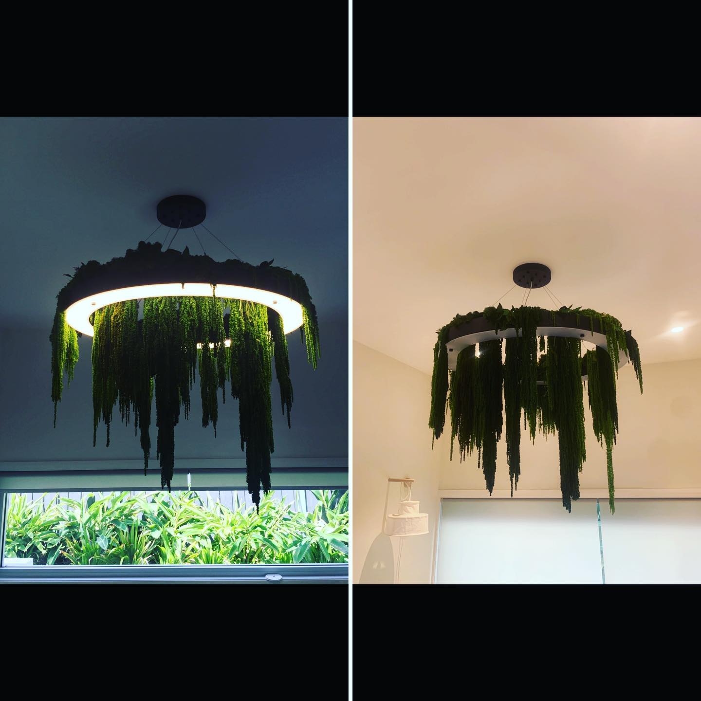 Decorative chandelier installation — Pether Electrical